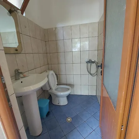 Jungle House Pansiyon Borş