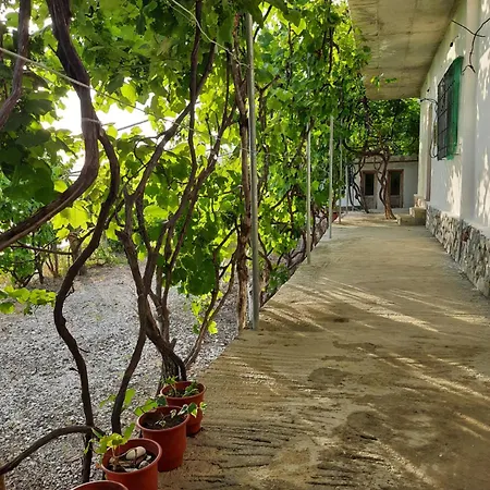 Jungle House Pansiyon