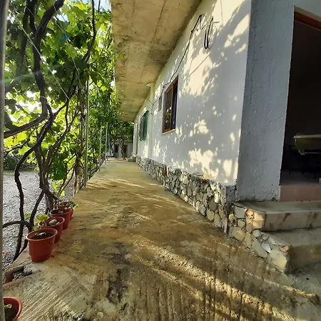 Jungle House منزل للإقامة بورش