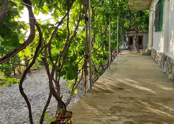 Jungle House Habitación en casa particular